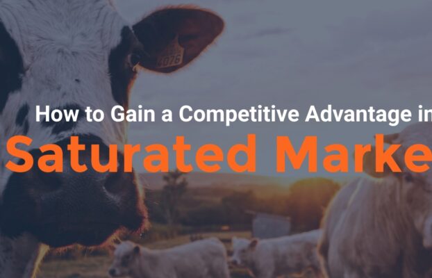 How to Gain a Competitive Advantage in a Saturated Market